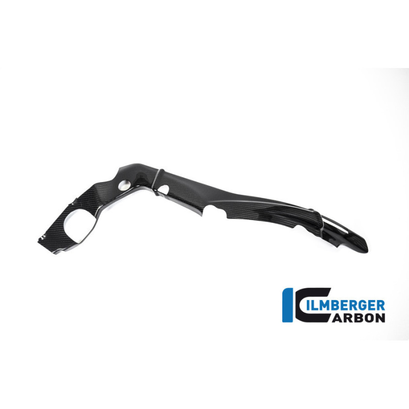 Cache de cadre petit modèle droit carbone pour BMW S & M 1000 RR | Ilmberger Carbon