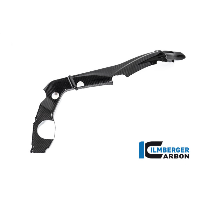 Cache de cadre petit modèle droit carbone pour BMW S & M 1000 RR | Ilmberger Carbon