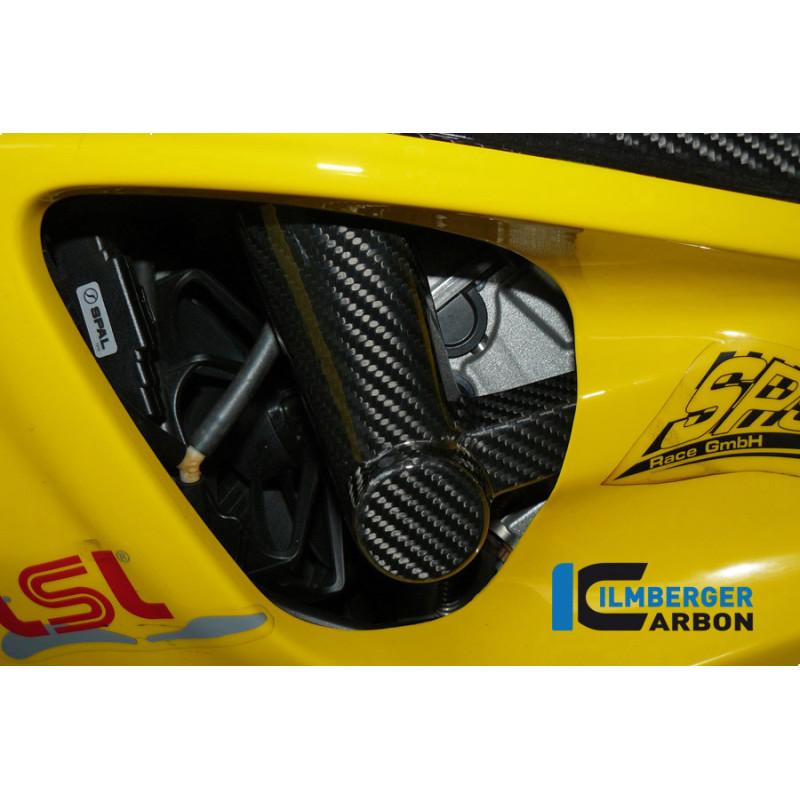 Patin de cadre gauche circuit carbone pour BMW S 1000 RR | Ilmberger Carbon