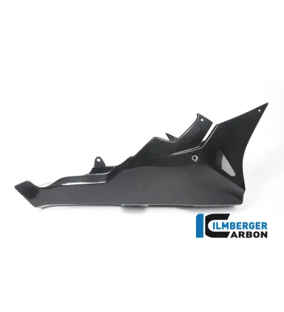 Sabot moteur carbone pour BMW S 1000 RR | Ilmberger Carbon