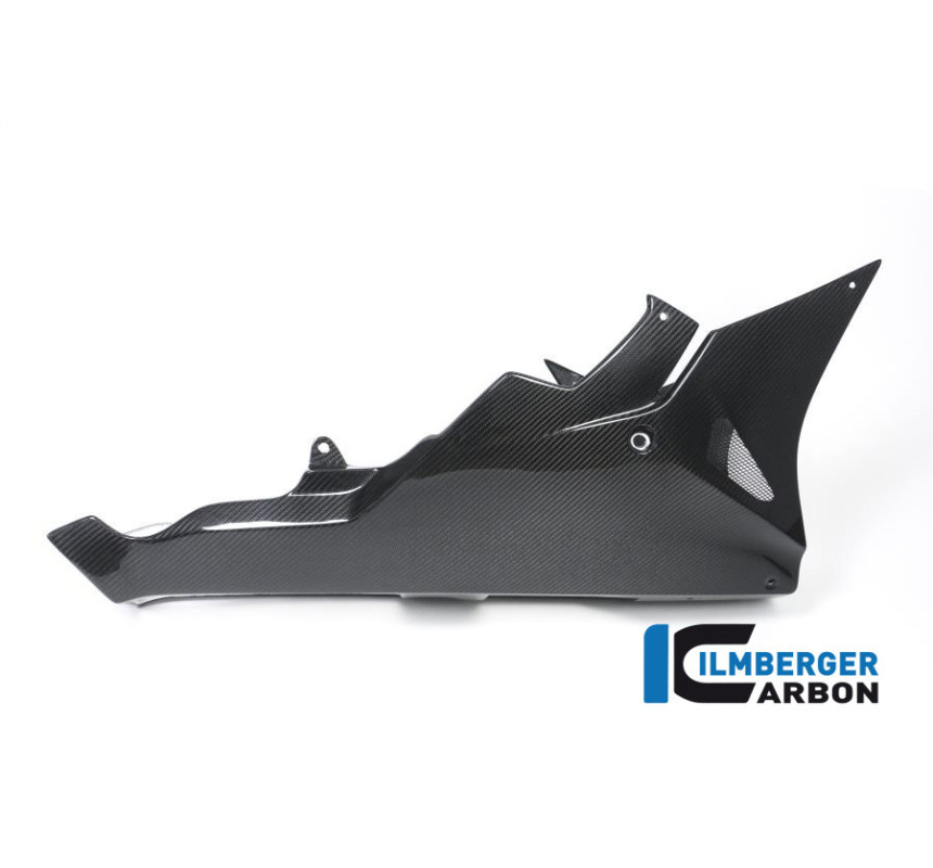 Sabot moteur carbone pour BMW S 1000 RR | Ilmberger Carbon