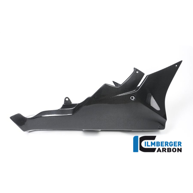 Sabot moteur carbone pour BMW S 1000 RR | Ilmberger Carbon