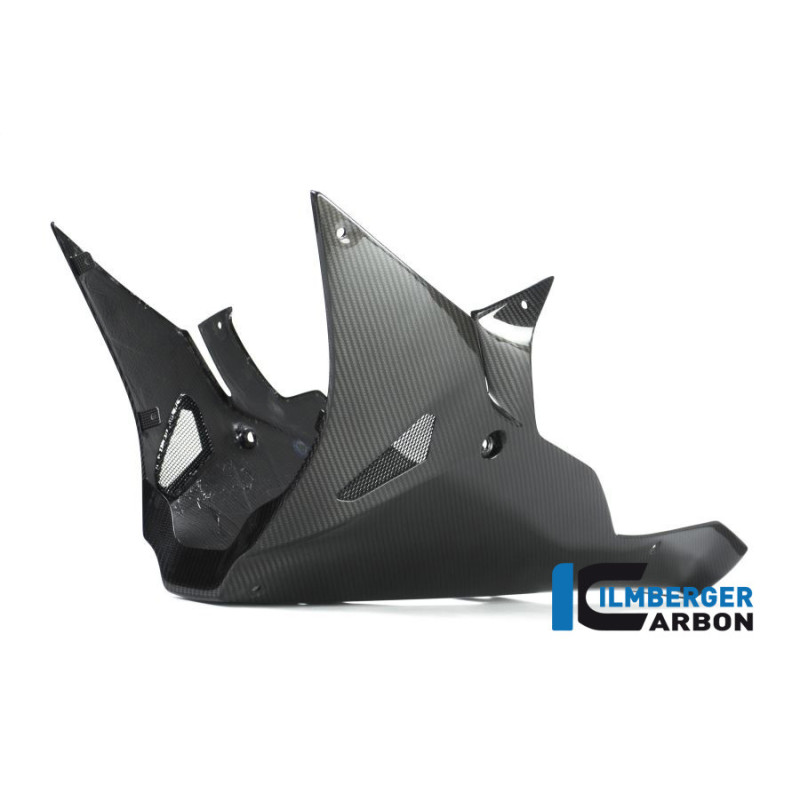 Sabot moteur carbone pour BMW S 1000 RR | Ilmberger Carbon