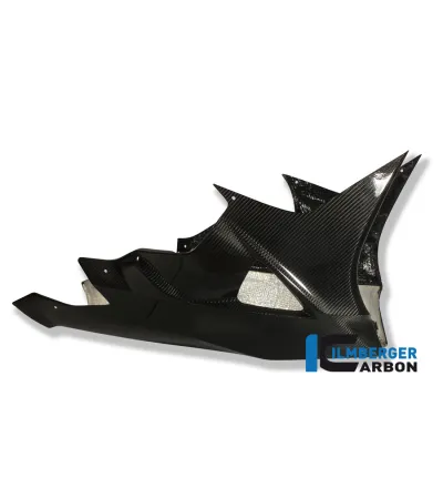 Sabot moteur carbone pour BMW S 1000 RR | Ilmberger Carbon