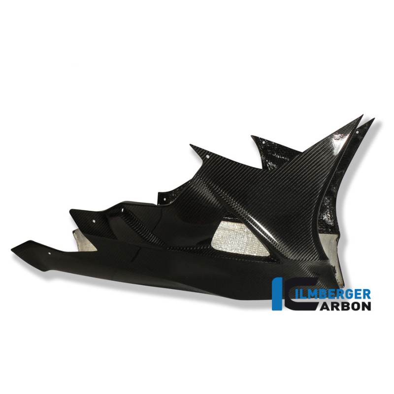 Sabot moteur carbone pour BMW S 1000 RR | Ilmberger Carbon