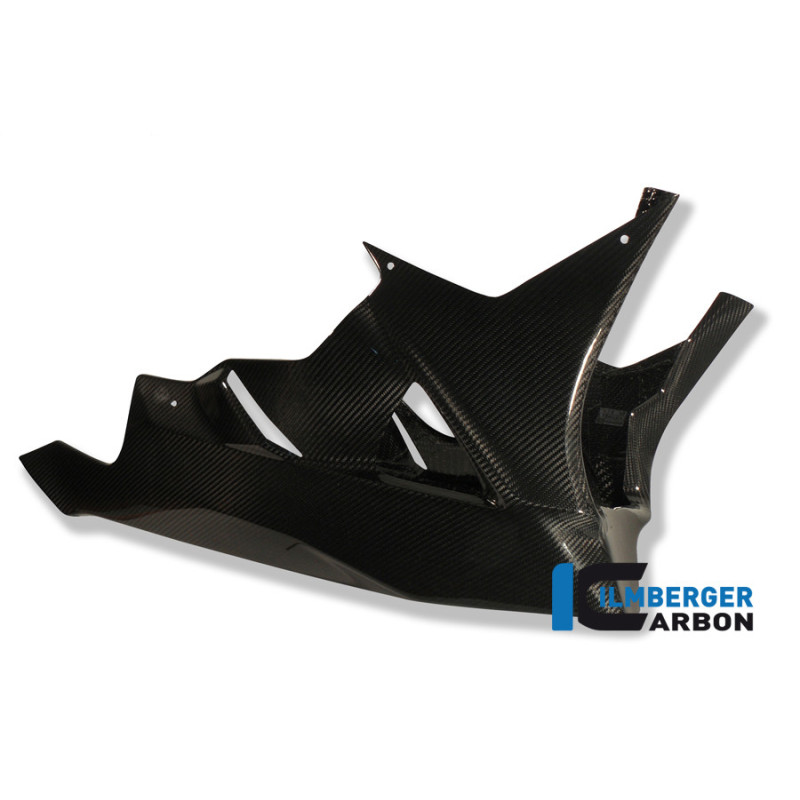 Sabot moteur circuit carbone pour BMW S 1000 RR | Ilmberger Carbon