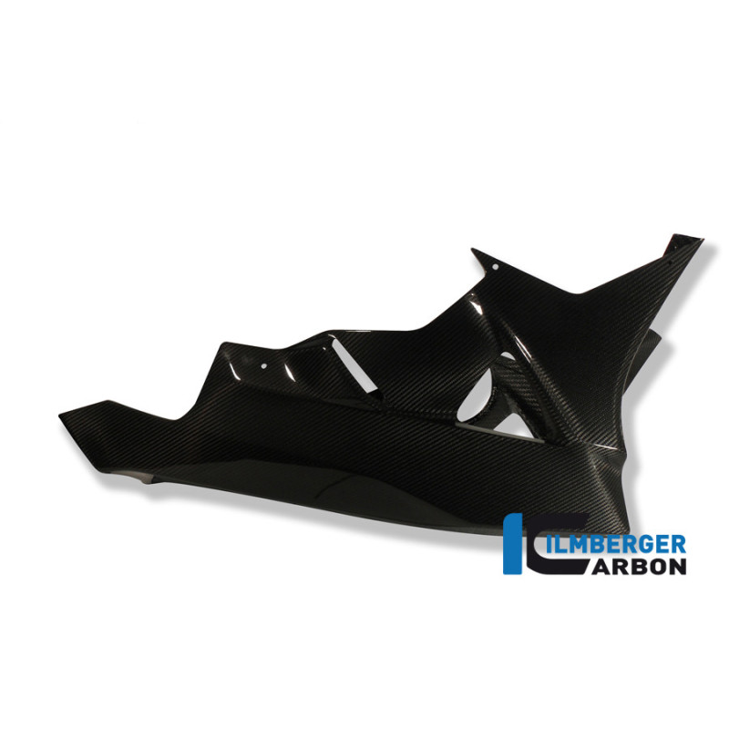Sabot moteur circuit carbone pour BMW S 1000 RR | Ilmberger Carbon