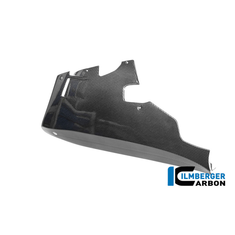 Sabot moteur circuit carbone pour BMW M 1000 RR | Ilmberger Carbon