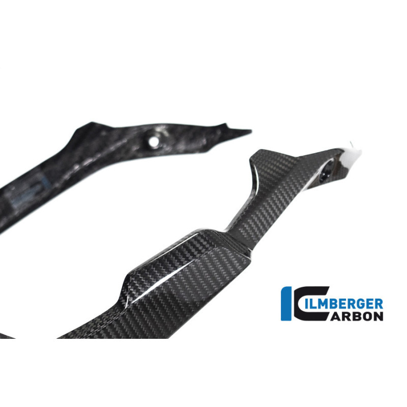 Sabot moteur pour ligne complète carbone pour BMW S 1000 RR | Ilmberger Carbon