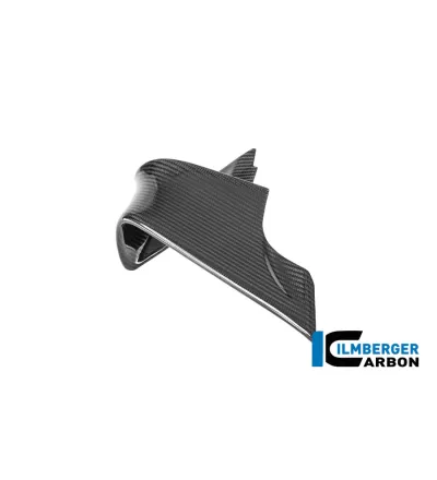 Aileron droit carbone pour BMW M 1000 RR | Ilmberger Carbon