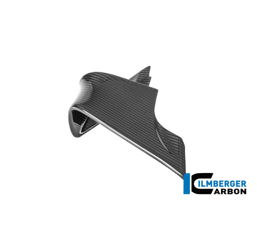 Aileron droit carbone pour BMW M 1000 RR | Ilmberger Carbon