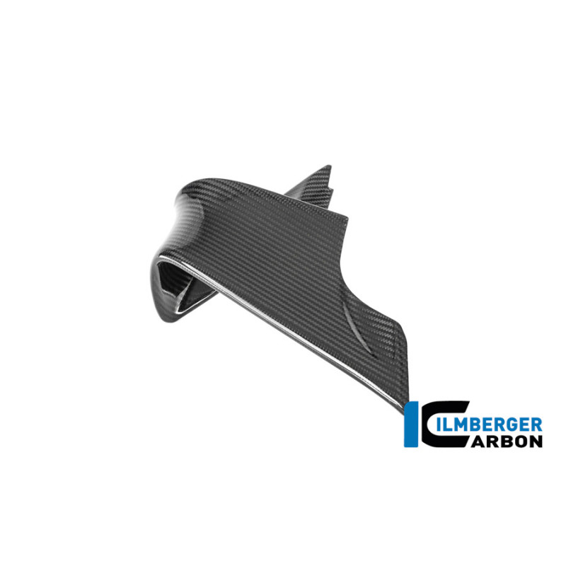 Aileron droit carbone pour BMW M 1000 RR | Ilmberger Carbon