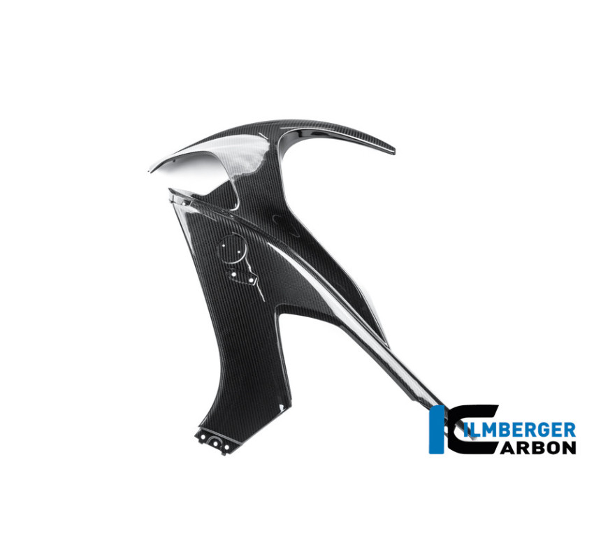 Flanc de carénage gauche carbone pour BMW M 1000 RR | Ilmberger Carbon