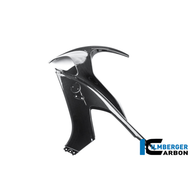 Flanc de carénage gauche carbone pour BMW M 1000 RR | Ilmberger Carbon