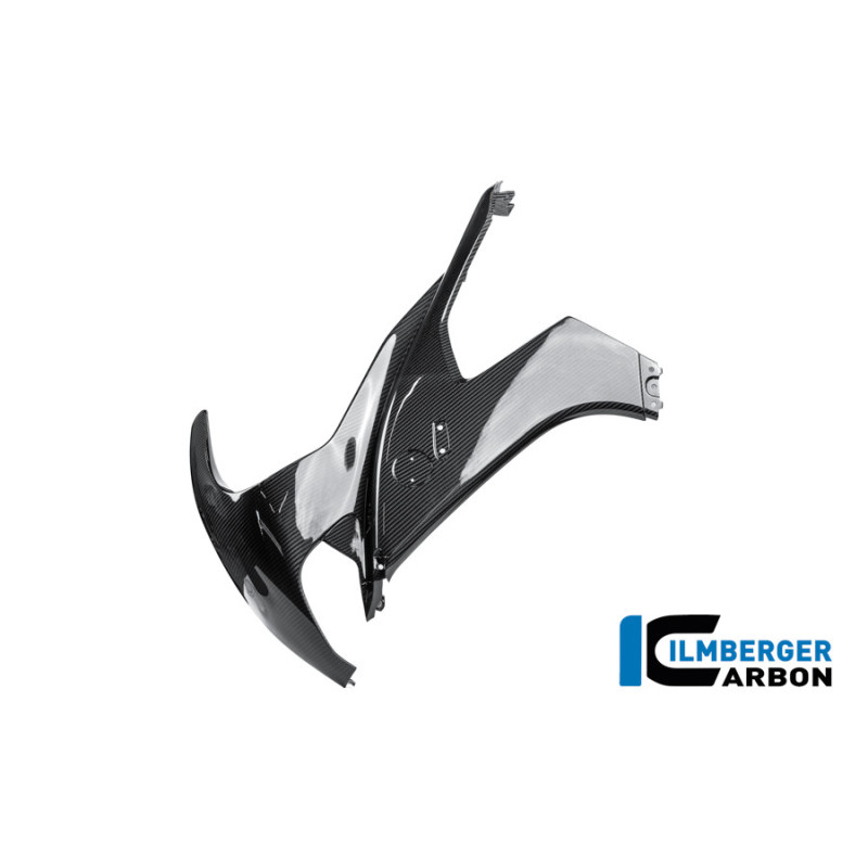Flanc de carénage gauche carbone pour BMW M 1000 RR | Ilmberger Carbon