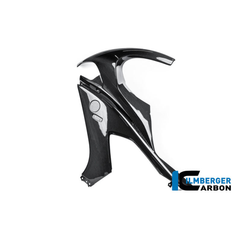 Flanc de carénage gauche carbone pour BMW M 1000 RR | Ilmberger Carbon