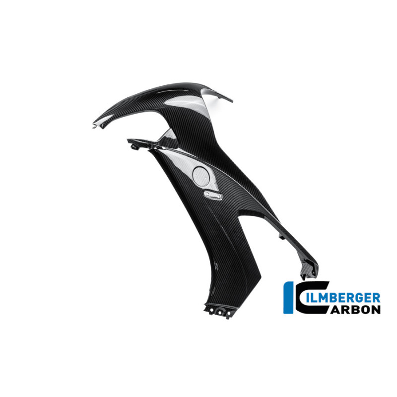 Flanc de carénage gauche carbone pour BMW M 1000 RR | Ilmberger Carbon