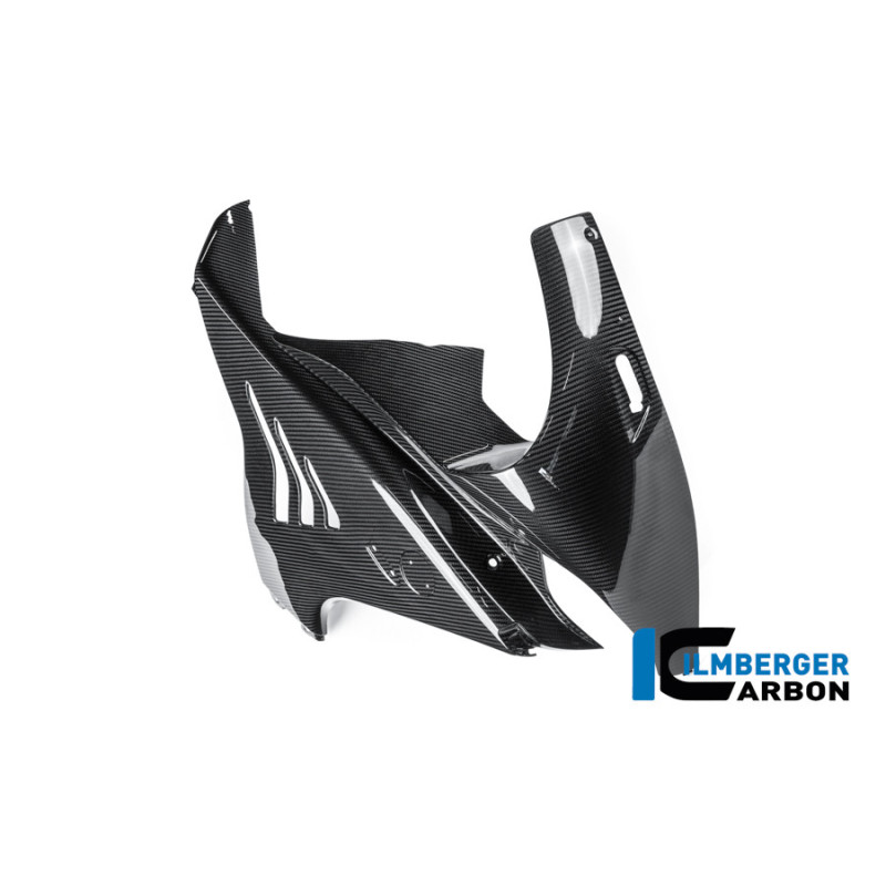 Flanc de carénage droit carbone pour BMW M 1000 RR | Ilmberger Carbon