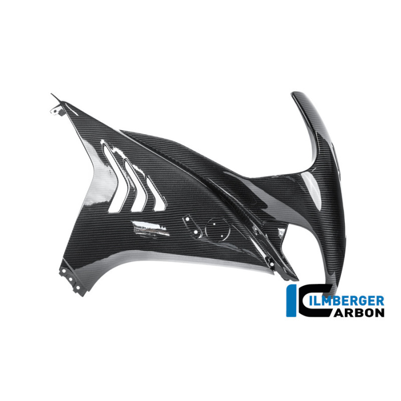 Flanc de carénage droit carbone pour BMW M 1000 RR | Ilmberger Carbon