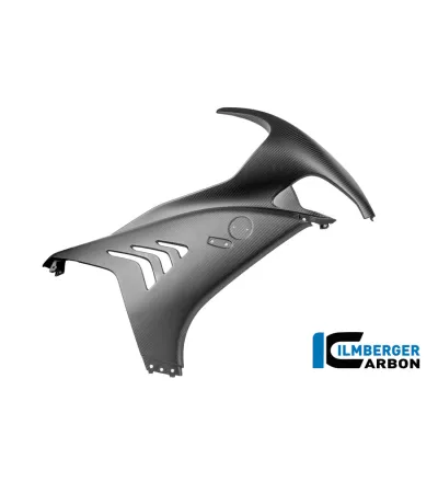 Flanc de carénage droit carbone pour BMW M 1000 RR | Ilmberger Carbon