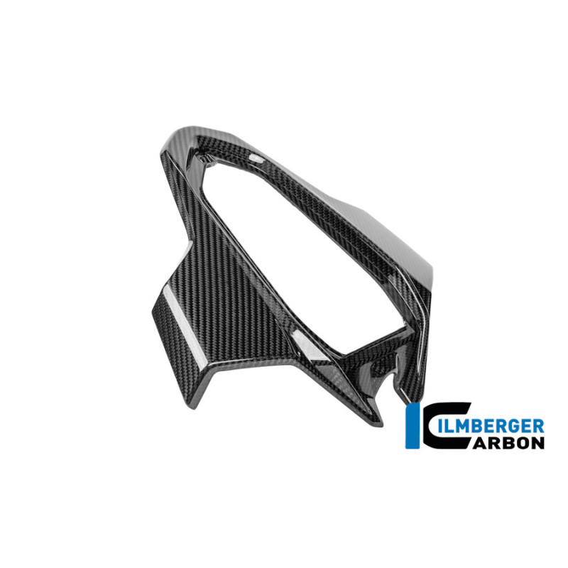 Partie centrale de coque arrière biplace pour S & M 1000 RR 2023 et plus