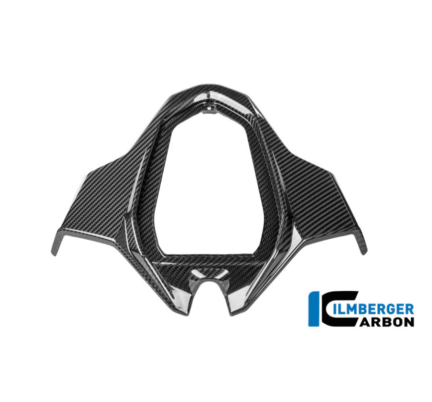 Partie centrale de coque arrière biplace carbone pour BMW S & M 1000 RR | Ilmberger Carbon