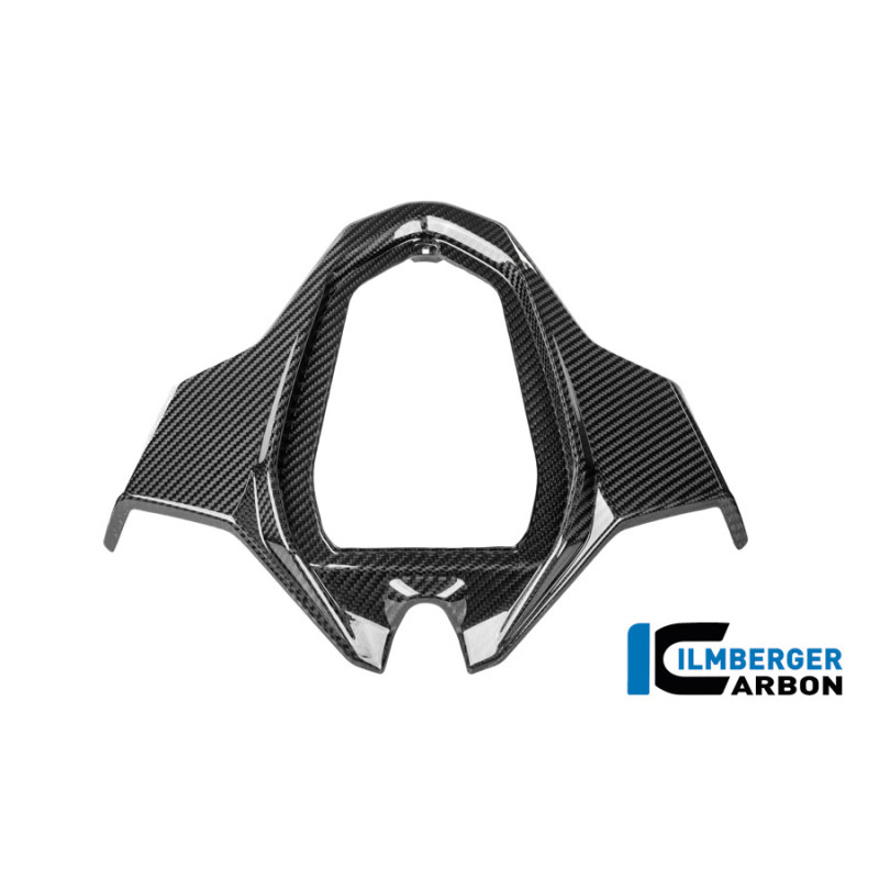 Partie centrale de coque arrière biplace carbone pour BMW S & M 1000 RR | Ilmberger Carbon