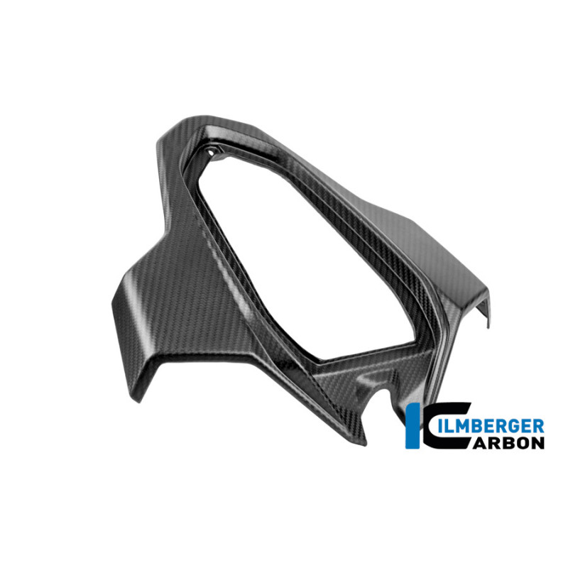 Partie centrale de coque arrière biplace carbone pour BMW S & M 1000 RR | Ilmberger Carbon