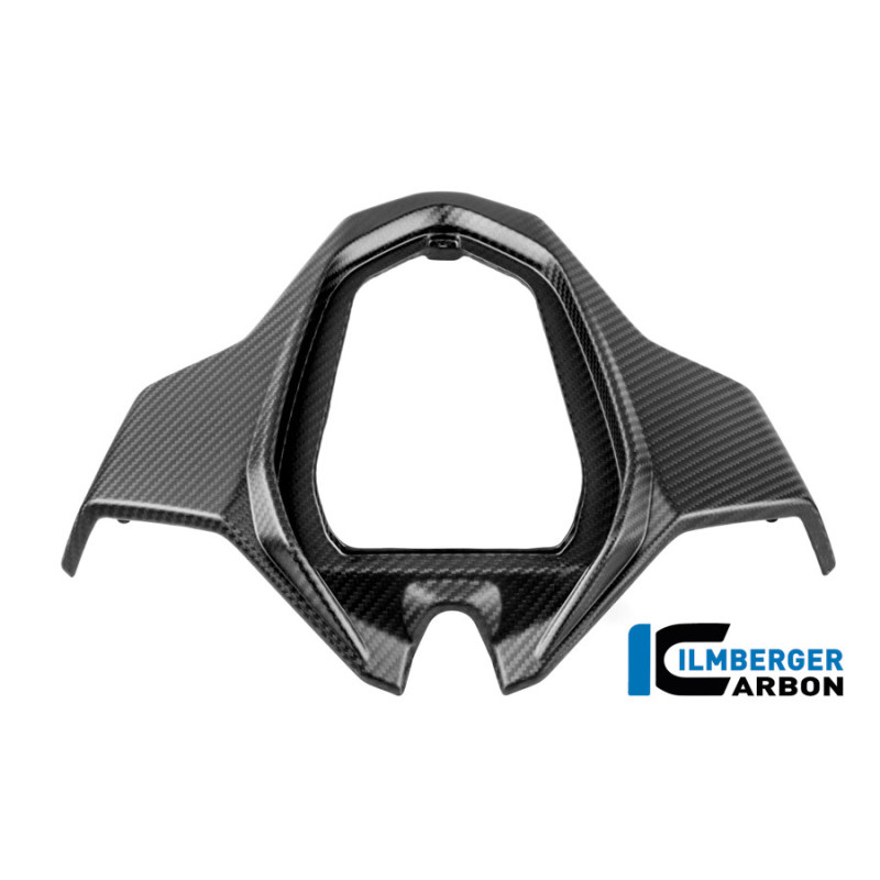 Partie centrale de coque arrière biplace carbone pour BMW S & M 1000 RR | Ilmberger Carbon