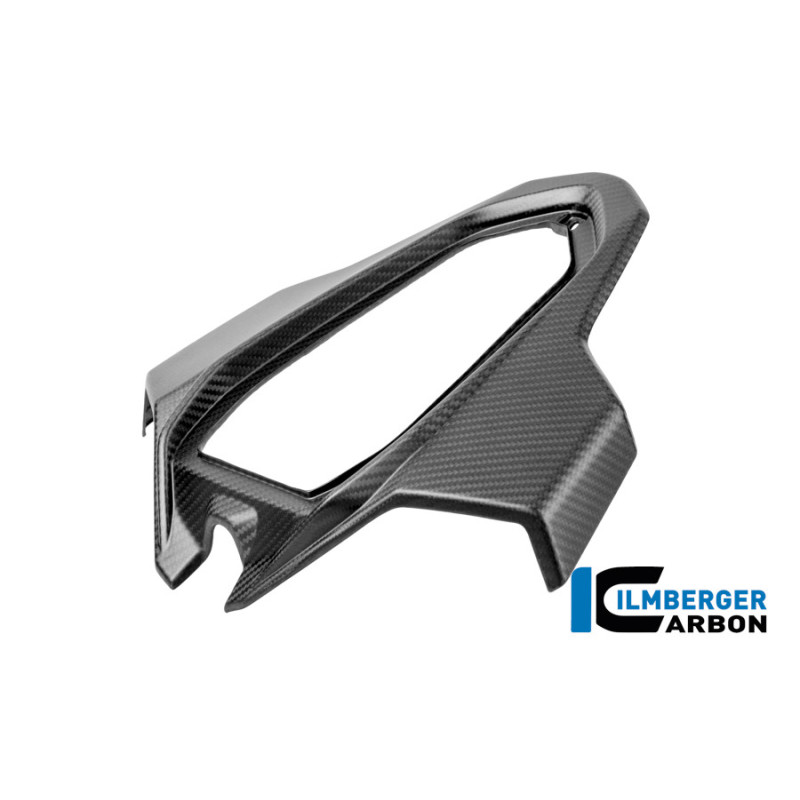 Partie centrale de coque arrière biplace carbone pour BMW S & M 1000 RR | Ilmberger Carbon