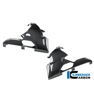 Kit de sabot moteur carbone pour BMW M 1000 RR | Ilmberger Carbon