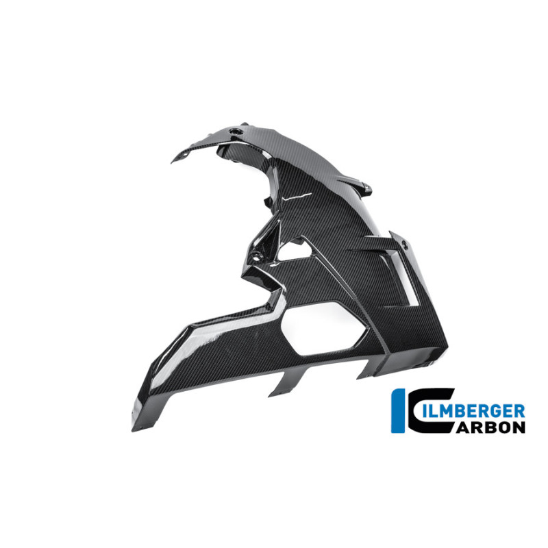 Kit de sabot moteur carbone pour BMW M 1000 RR | Ilmberger Carbon