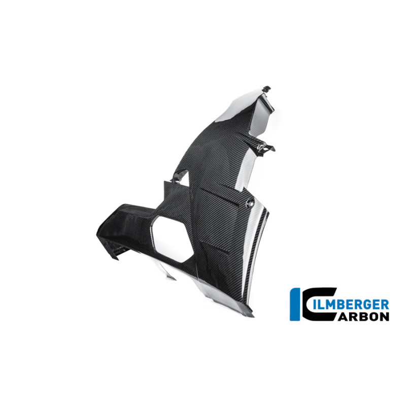 Kit de sabot moteur carbone pour BMW M 1000 RR | Ilmberger Carbon