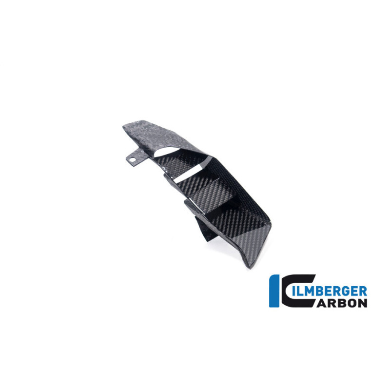 Aileron de coque arrière gauche carbone pour BMW S & M 1000 XR | Ilmberger Carbon