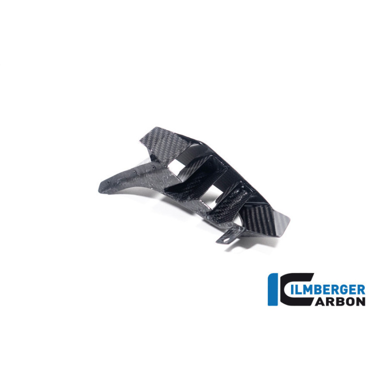 Aileron de coque arrière gauche carbone pour BMW S & M 1000 XR | Ilmberger Carbon