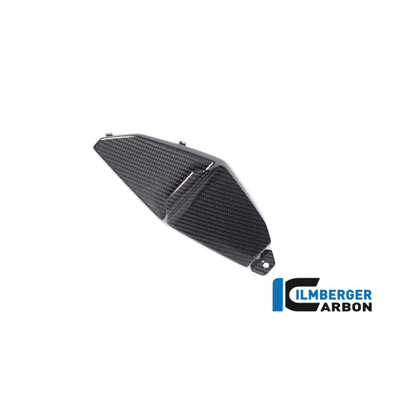 Aileron inférieur gauche carbone pour BMW M 1000 XR | Ilmberger Carbon