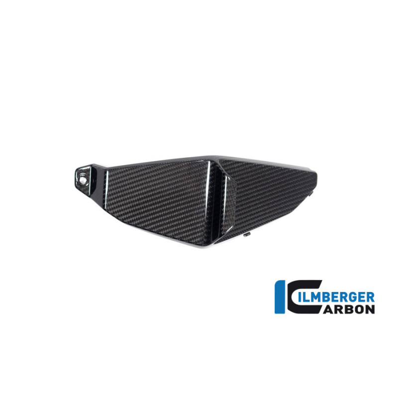 Aileron inférieur gauche carbone pour BMW M 1000 XR | Ilmberger Carbon
