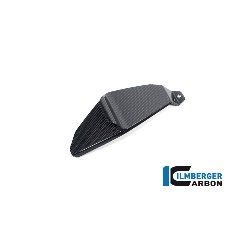 Aileron inférieur gauche carbone pour BMW M 1000 XR | Ilmberger Carbon