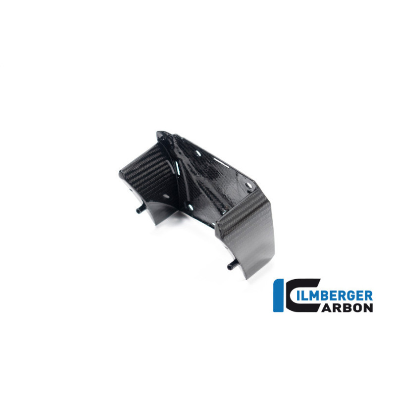 Aileron intérieur gauche carbone pour BMW M 1000 XR | Ilmberger Carbon