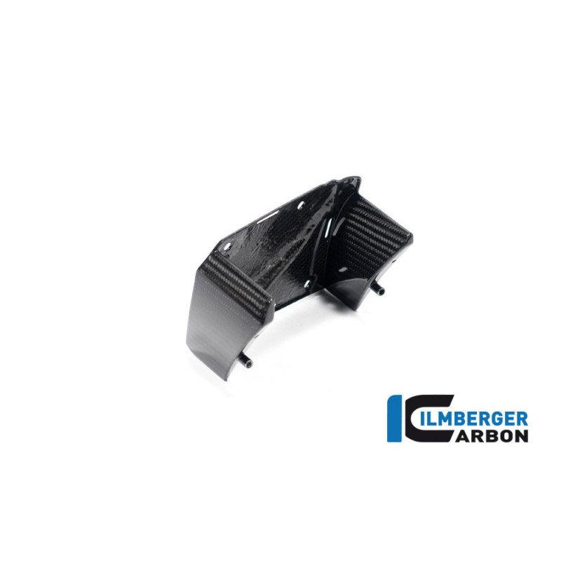 Aileron intérieur droit carbone pour BMW M 1000 XR | Ilmberger Carbon