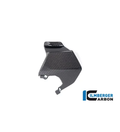 Aileron supérieur gauche carbone pour BMW M 1000 XR | Ilmberger Carbon