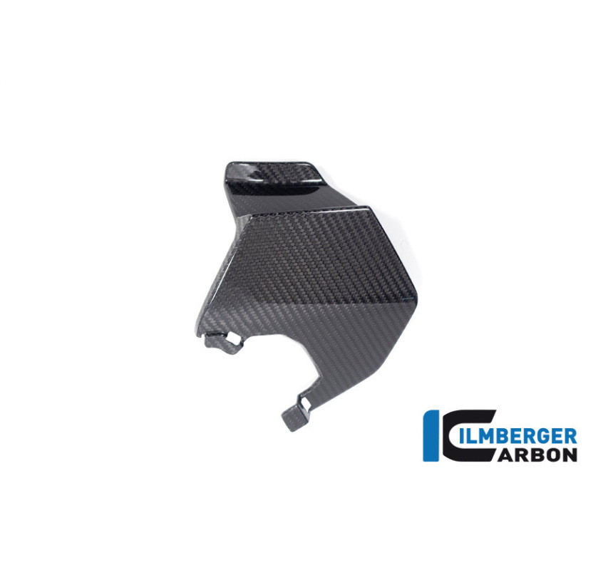Aileron supérieur gauche carbone pour BMW M 1000 XR | Ilmberger Carbon