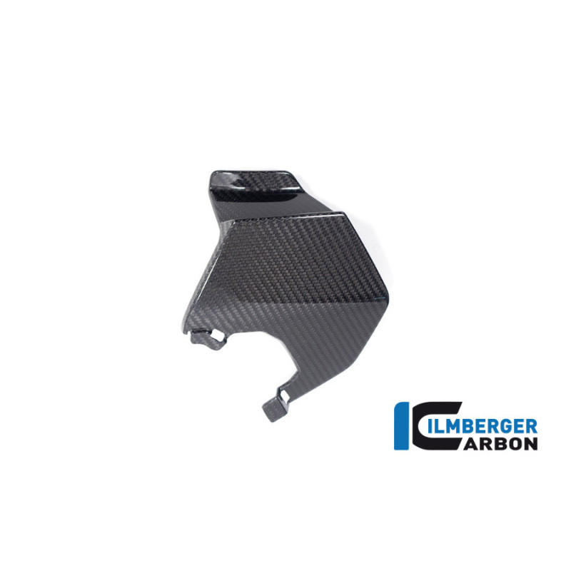Aileron supérieur gauche carbone pour BMW M 1000 XR | Ilmberger Carbon