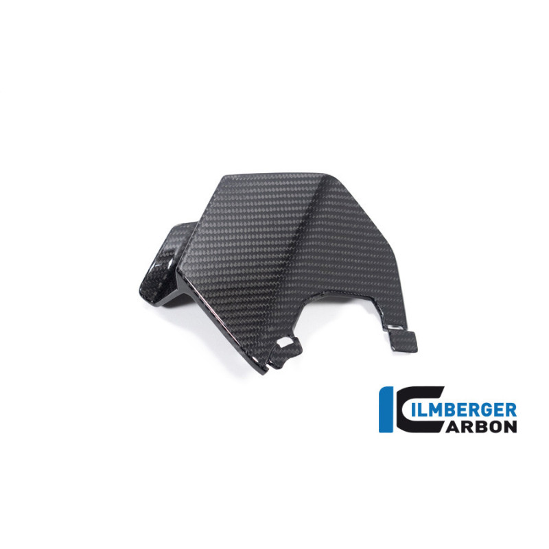 Aileron supérieur gauche carbone pour BMW M 1000 XR | Ilmberger Carbon
