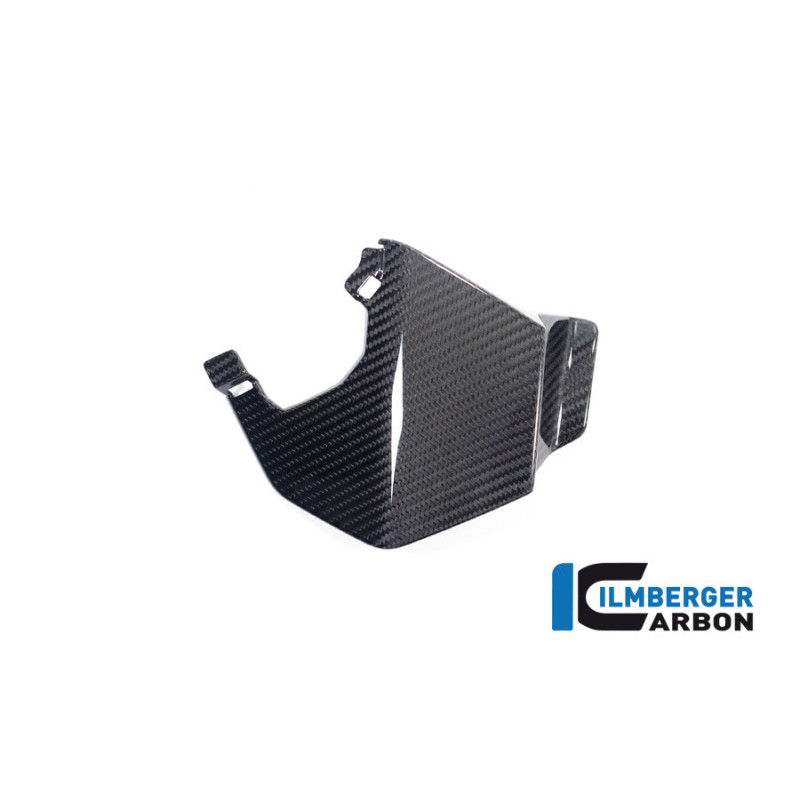 Aileron supérieur gauche carbone pour BMW M 1000 XR | Ilmberger Carbon