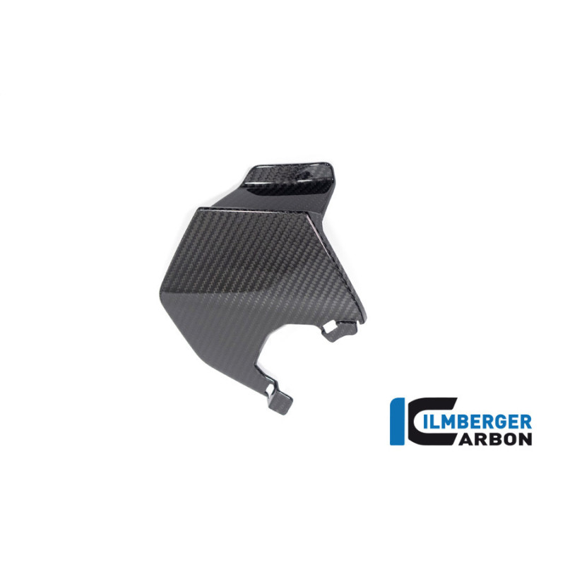 Aileron supérieur droit carbone pour BMW M 1000 XR | Ilmberger Carbon