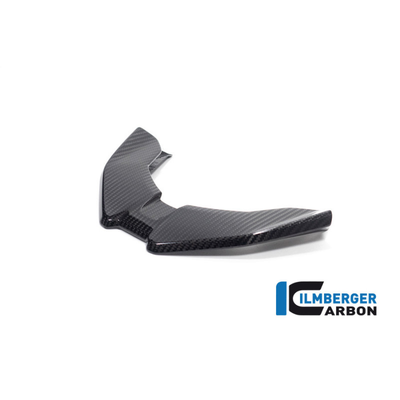 Bec avant carbone pour BMW S & M 1000 XR | Ilmberger Carbon