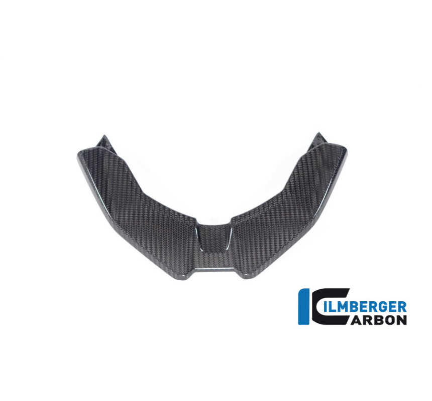 Bec avant carbone pour BMW S & M 1000 XR | Ilmberger Carbon