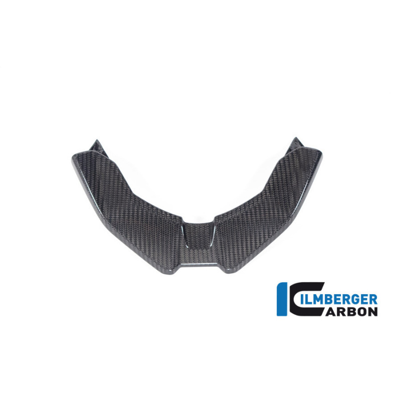 Bec avant carbone pour BMW S & M 1000 XR | Ilmberger Carbon