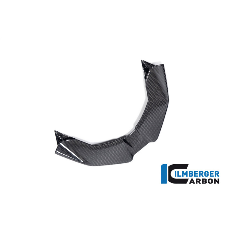 Bec avant carbone pour BMW S & M 1000 XR | Ilmberger Carbon